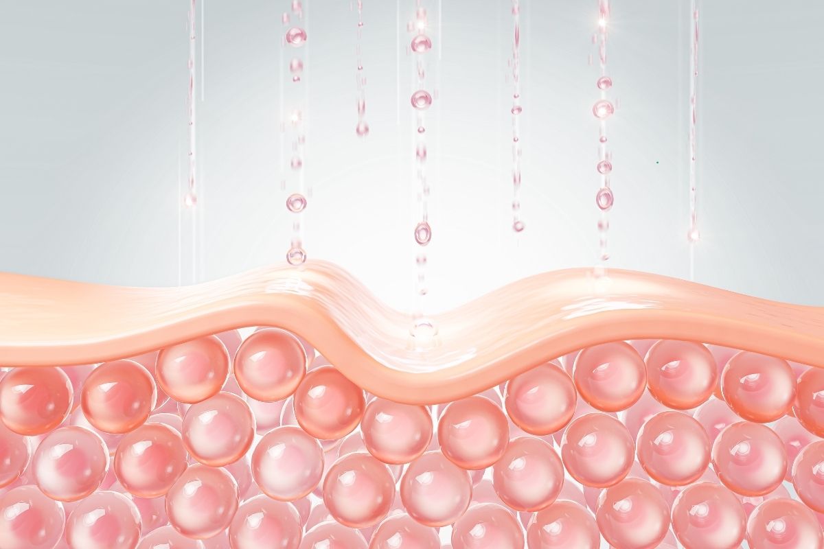 W czym jest najwięcej kolagenu W czym jest najwięcej kolagenu