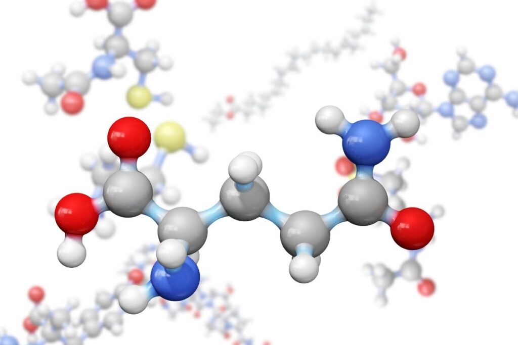 Właściwości proliny i jej rola Właściwości proliny i jej rola